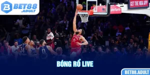 Bóng Rổ Live - Khám Phá Thế Giới Săn Thưởng Hot 2025