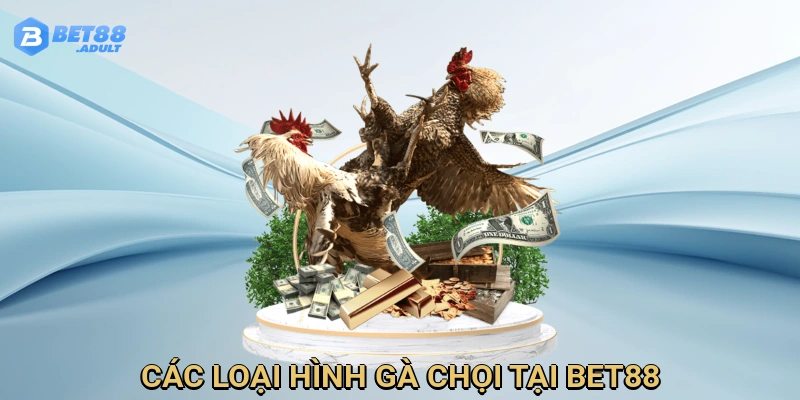 Hệ thống các loại hình gà chọi đặc sắc tại trang chủ