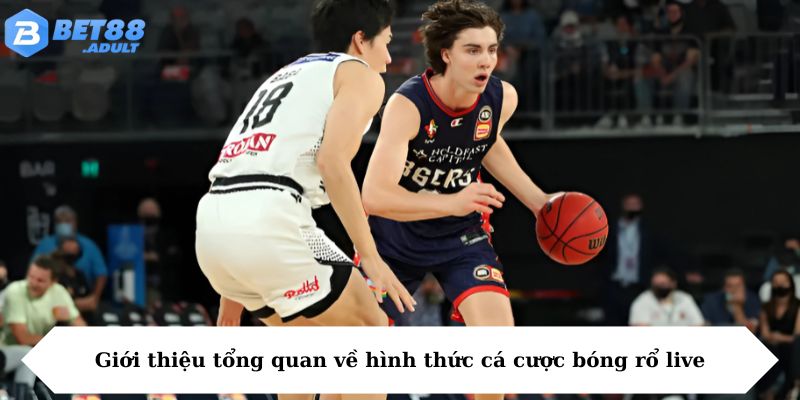 Giới thiệu tổng quan về hình thức cá cược bóng rổ live