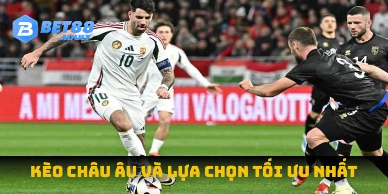 Kèo châu âu và lựa chọn tối ưu nhất