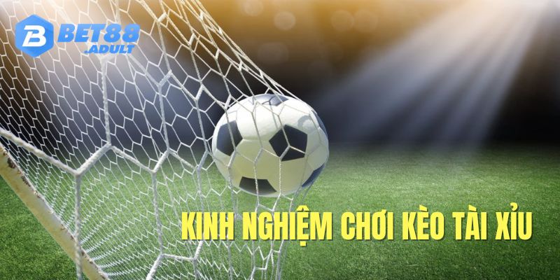 Kinh nghiệm bắt cược tài xỉu bất bại 