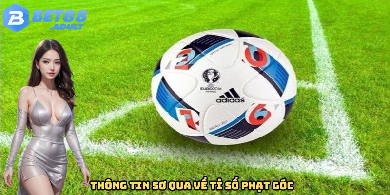 Thông tin sơ qua về tỷ số phạt góc